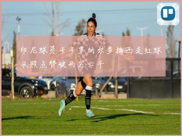 印尼球员卡卡罗纳尔多梅西走红球衣照点赞破两万六千